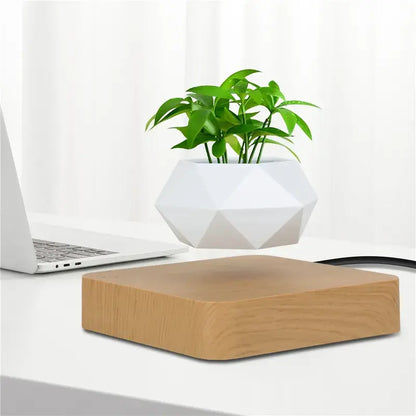 Potted Plant Home Desk Decor