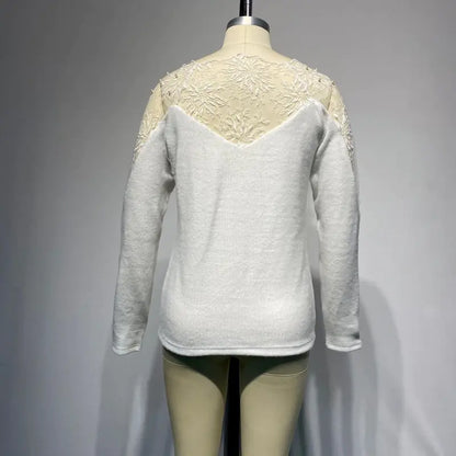 A Lace Mesh Sweater Top