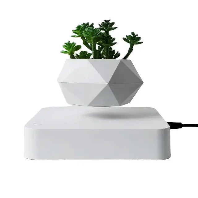 Potted Plant Home Desk Decor